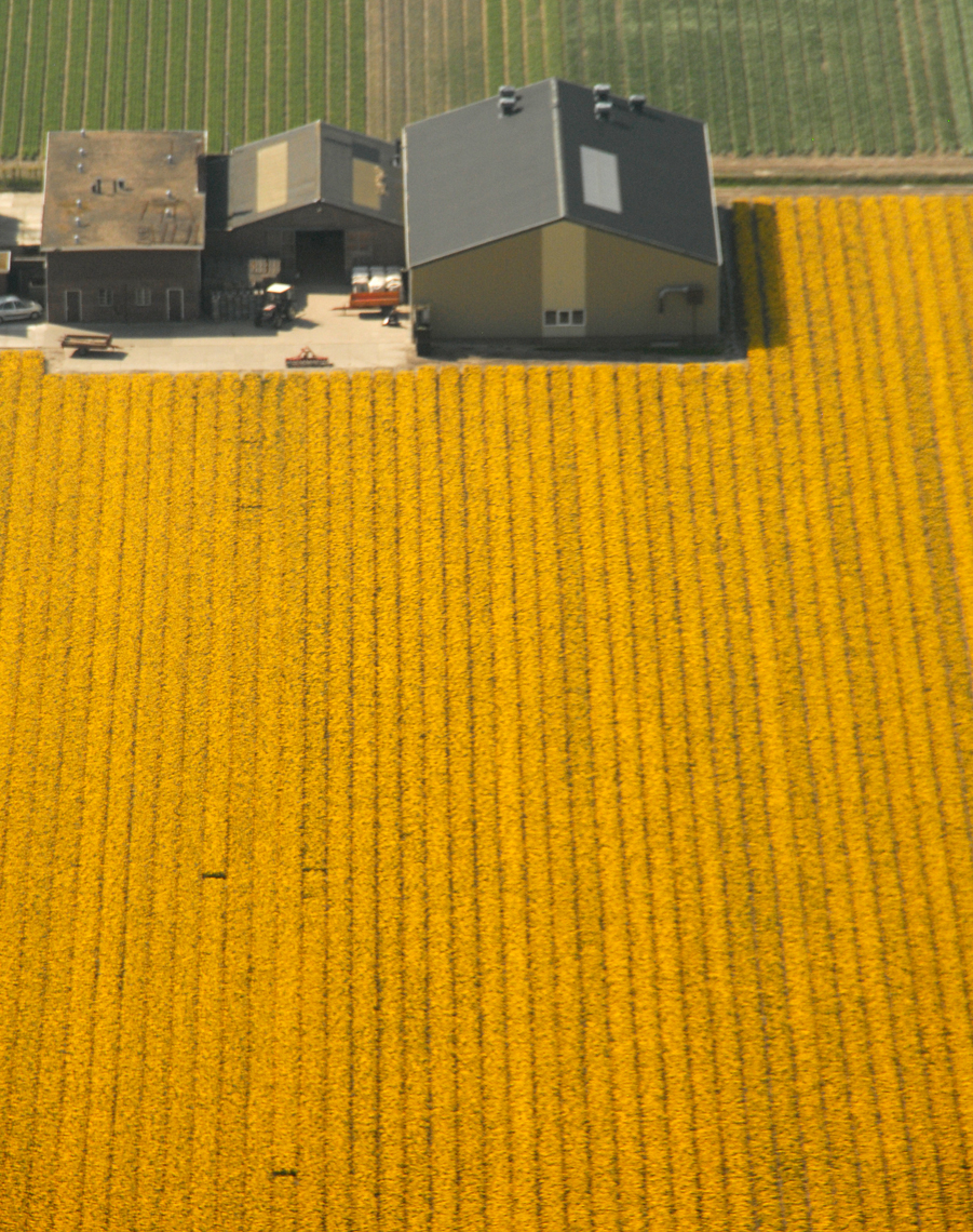 017_netherlands.jpg